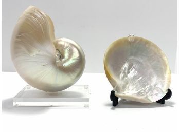 Pearl Nautilus Shell On Lucite Stand Along With A Pearlized Shell With Easel