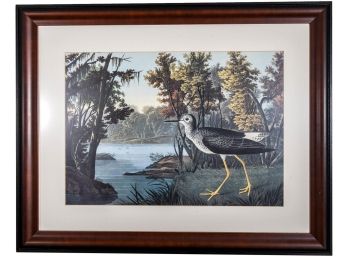 J.J. Audubon Framed Collograph Print Of The Yellow Shank, Male Summer Plumage