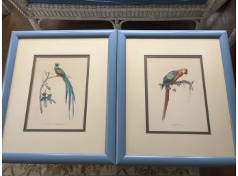 Pair Of Nicely Framed Exotic Bird Prints