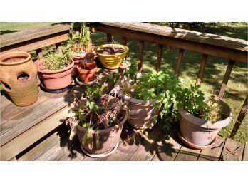 Lot Of Various Sized Outdoor Planters