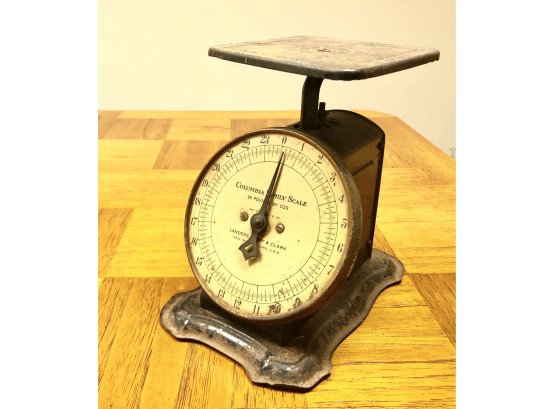 Vintage Columbia Family Scale (24 Lbs)