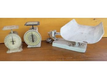 3 Vintage Countertop Scales