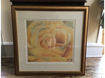 Summer Rose By Local Artist, Jane Cunha, Signed And Numbered 1/250 - 36 X 34