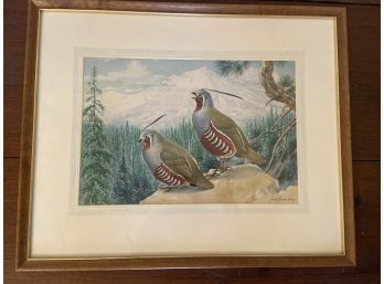 Watercolor Of Pair Of Quail Birds Signed James Gordon Irving 21x17in Matted Framed Glass