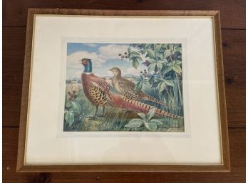 Watercolor Of Pair Of Pheasants Signed James Gordon Irving 21x17in Matted Framed Glass