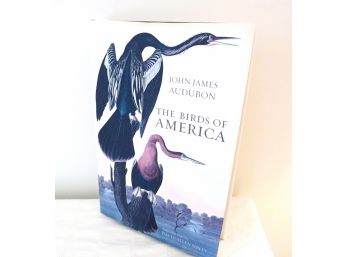 Coffee Table Size Birds Of America Audubon Book