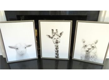 Trio Of Animals Artwork Simon Te Tai