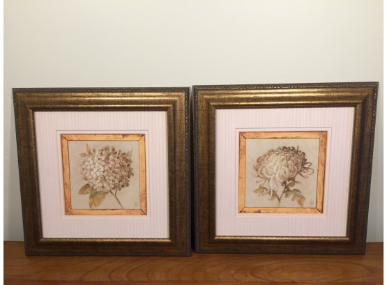 Pair Of Framed Lauren Hamilton Botanical Prints