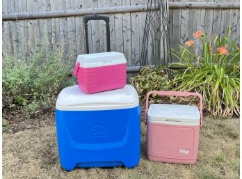 Trio Of Igloo Coolers