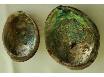 Pair Of Abalone Oyster Shells