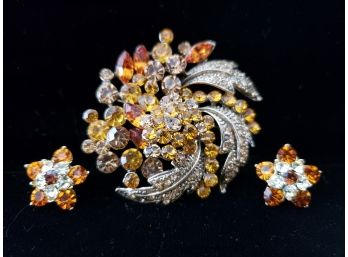 Colorful Rhinestone Brooch And Earring Set