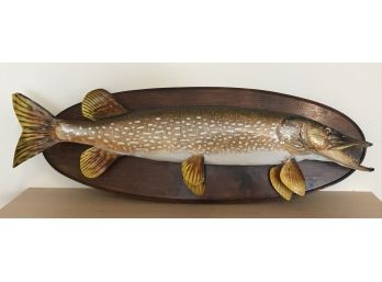 Taxidermy Fish Mounted On Oval Plaque