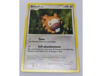 Bidoof  2008  54/100