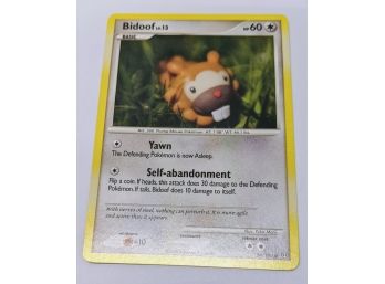 Bidoof  2008  54/100