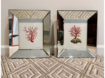 Pair Of Corallium Rubrum Prints In Mirrored Frames