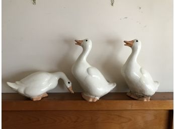 We Three Ducks Of.....