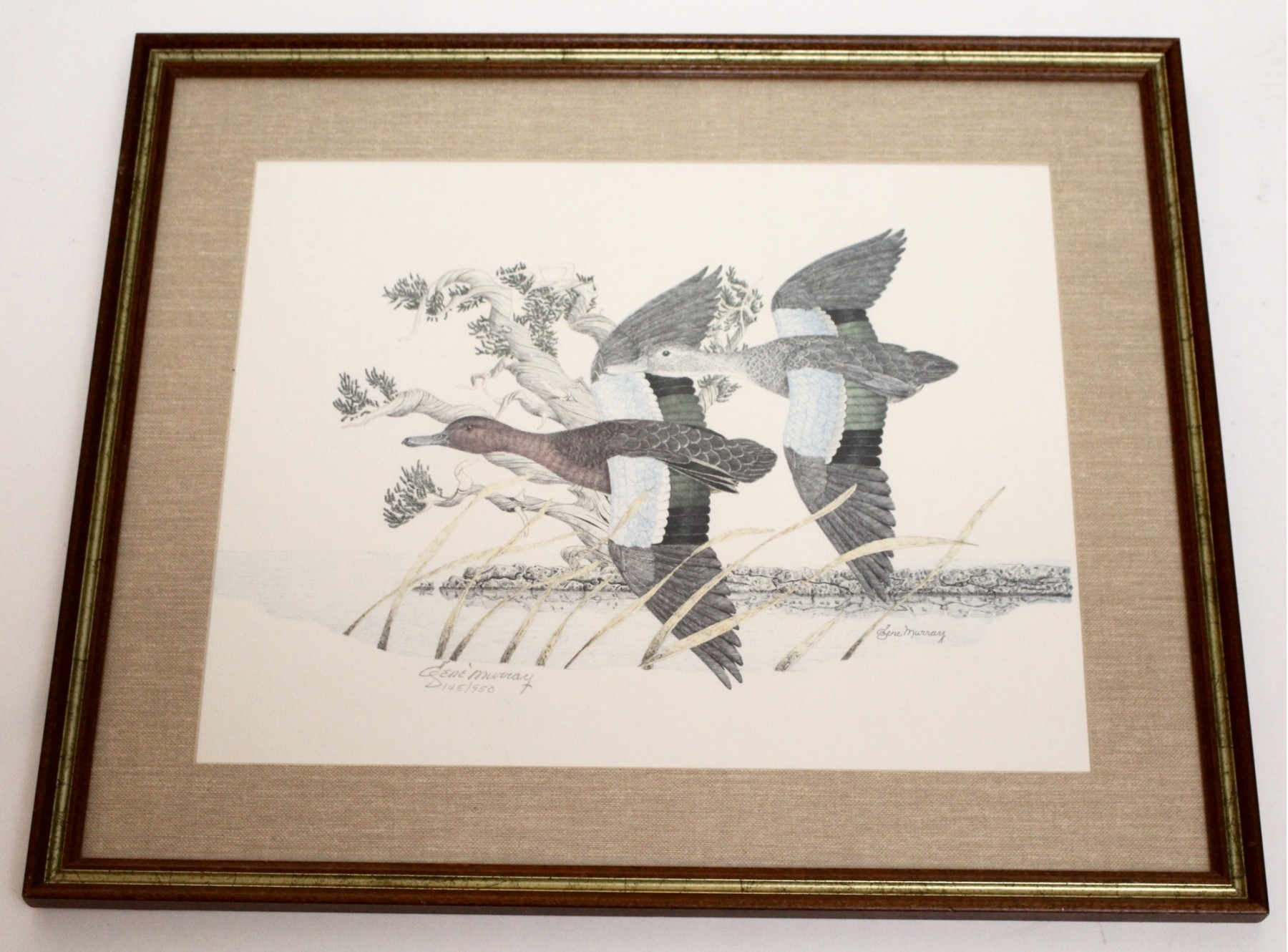 Gene Murray (d.1992) Three-time National Audubon Society Award Winner  Signed Numbered Duck Lithograph 40517824 | Auctionninja.com