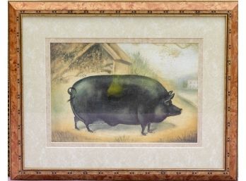 Print Of 'Large Black Pig' By Alexandra Churchill