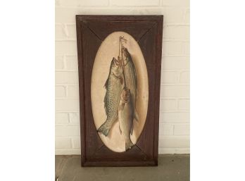 Vintage Fish Picture In Frame, Antique Print Of Catch Of The Day