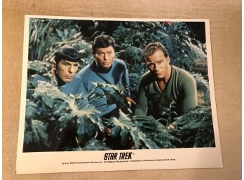 Spock Captain Kirk Bones McCoy Star Trek 8x10 Photo