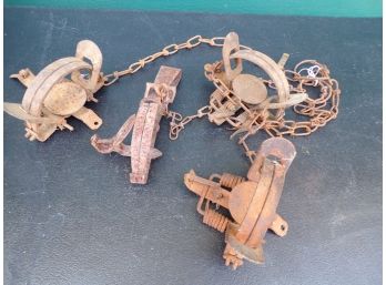 Old Set Of 4 Traps With Chains