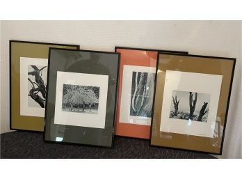 Ansel Adams Prints