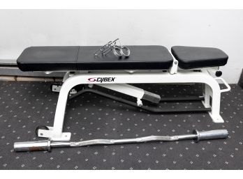 Cybex Incline Bench & Accessories