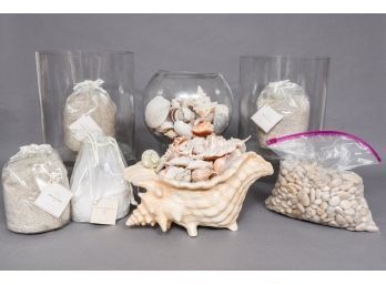 Collection Of Seashells, Sand And Vases - Create Your Own Design!