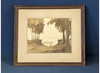 Antique Black And White Kodak Photograph (Florida? The Everglades?)