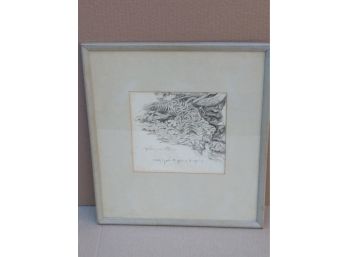 Original Drawing By Fletcher Martin Title Plant Forms At Spring Detailed Pen And Ink Signed Framed