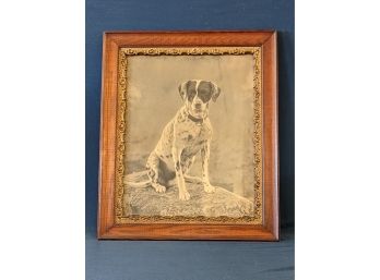 Antique Black And White Dog Photograph - Pup With Fabulous Markings!