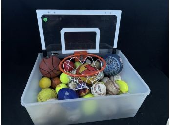 Mixed Ball Lot With Basketball Hoop