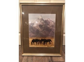 Framed Jackson Hole. Horse Pasture In The Tetons Photo, Rolf Meyerin 17 1/4' X 21 1/4'