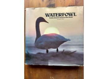 Waterfowl Book By Frank S. Todd, Copyright 1979 By Sea World