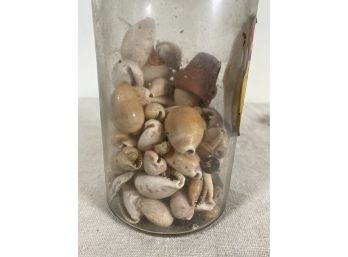 Jar Of Larger And Beautiful Cowrie Shells And Others