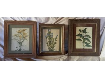 Floral Prints Fringed Gentian Goldenrod Marsh Mallow Matted Wood Frames 10x12 To 12x14