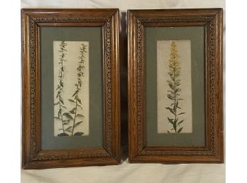 Pair Of Floral Pictures Goldenrod And Silverrod Nice Detailed Wood Frame 8.5x14