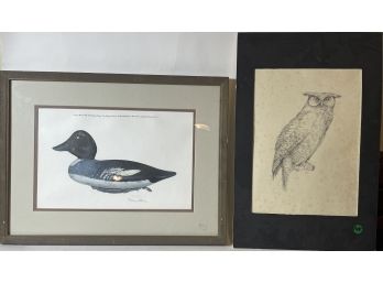 AN OWL DRAWING SIGNED C BRENNAN AND A NANCY HOWE DUCK PRINT