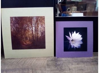 Signed Matted Photos Of Vancouver, WA Wildlife, 1978 & A Barrel Cactus Flower, Phoenix, AZ, 1979    WA