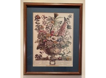 Framed Botanical Print