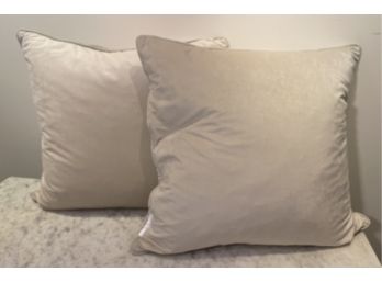 Two Down Pillows With Zip Off Covers