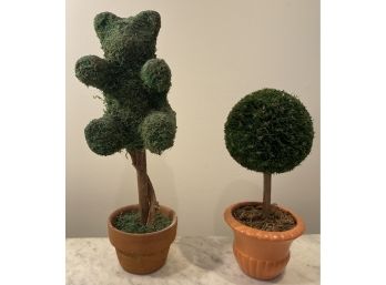 Two Topiary Decor