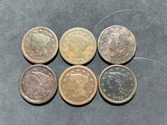 (6) Large Cents