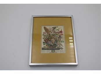 VINTAGE FLOWERS OF THE MONTH AUGUST FRAMED ROBERT FURBER PRINT 8' X 10'