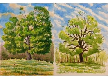 Howard Besnia:  Oak Tree