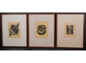 Howard Besnia: Set Of Three Custom Framed Prints
