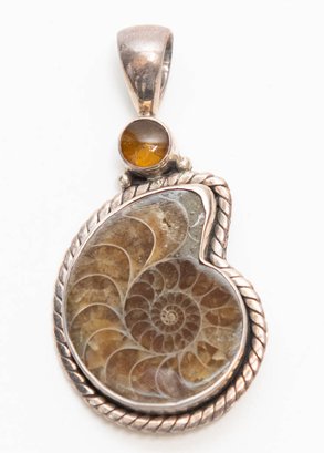 Ammonite Fossil Wrapped In Sterling Pendant