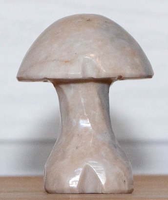 Hackmanite Stone Mushroom