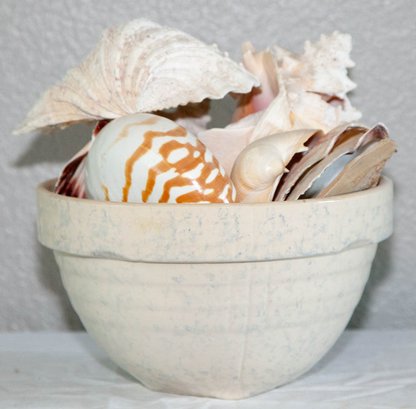 Vinage Stoneware Pottery Bowl Full Of Seashells