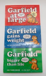 1980s Garfield First, Second And Third Books By Jim Davis
